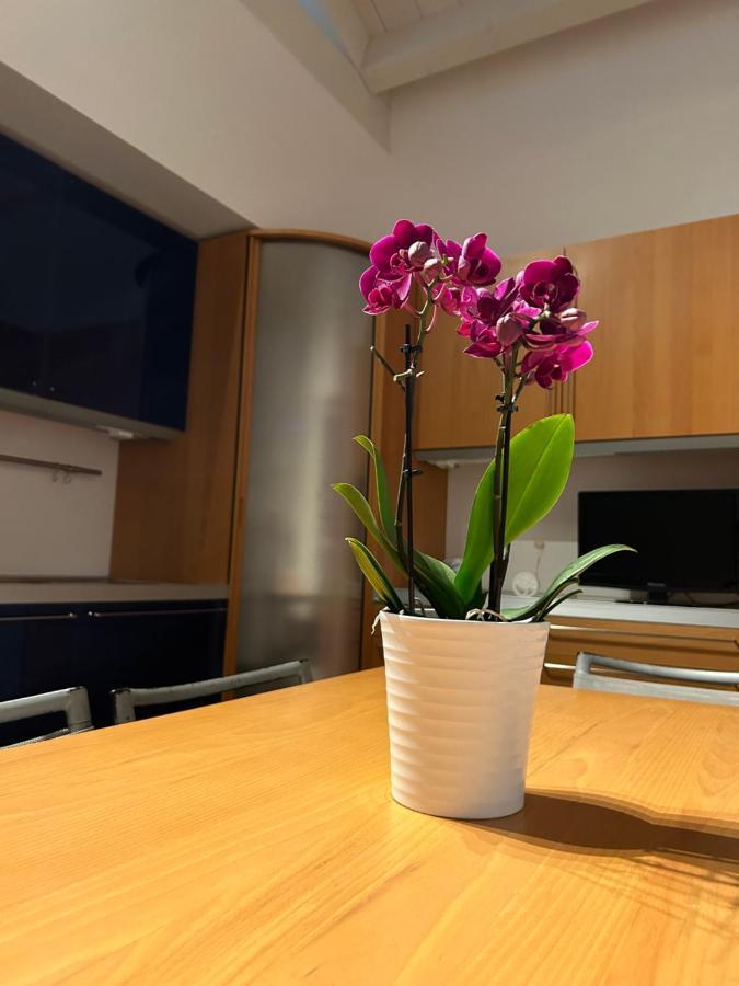 A Due Passi Da Apartment Corato Luaran gambar